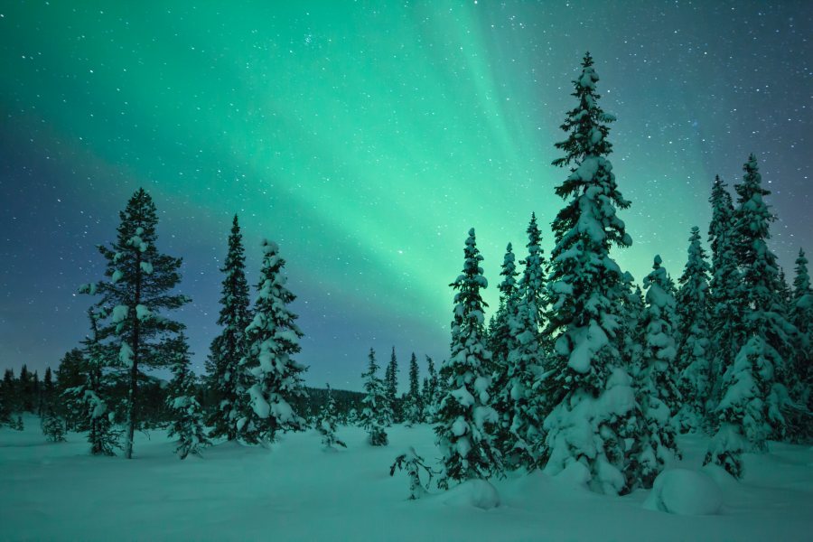 The ultimate guide to seeing the Northern Lights | RACV