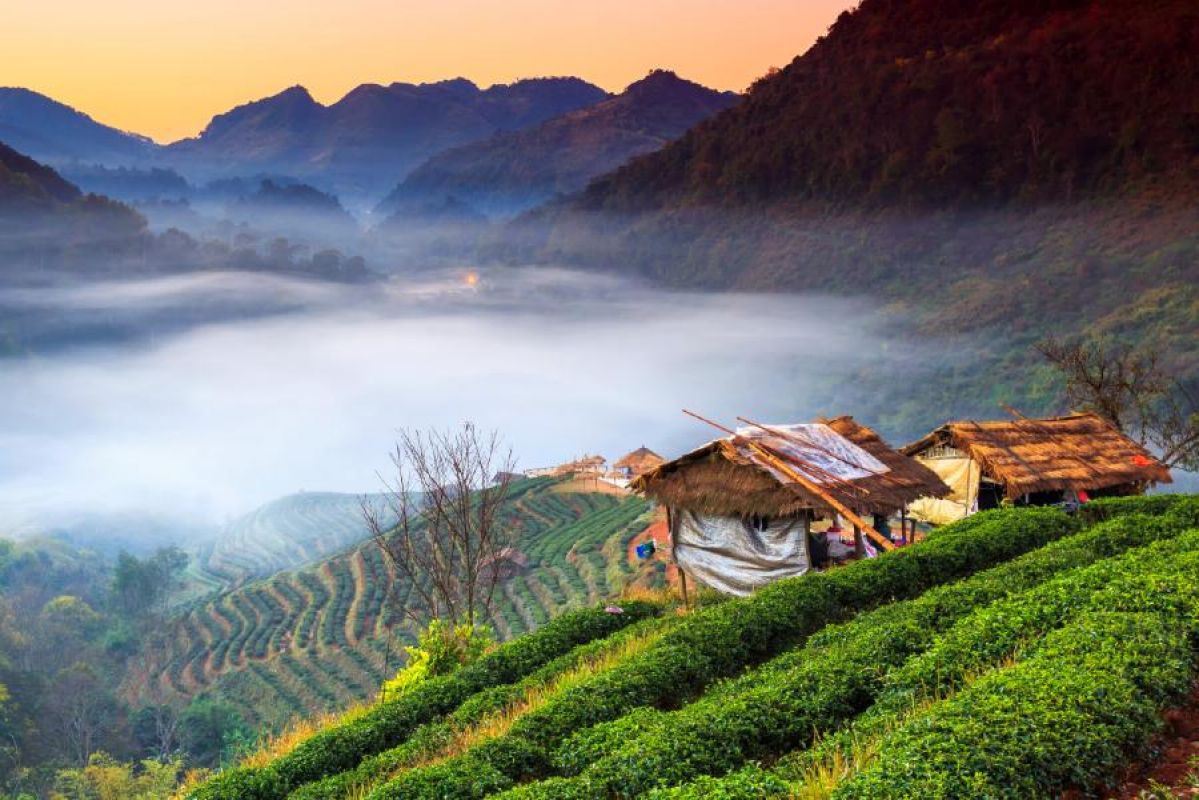 Village huts atop a foggy hillside near Chiang Mai, Thailand