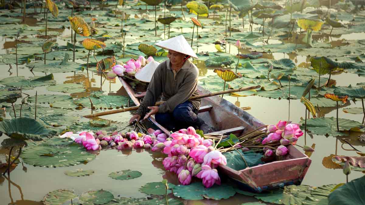 woman surrounded by lilypads on canoe in VietnaM