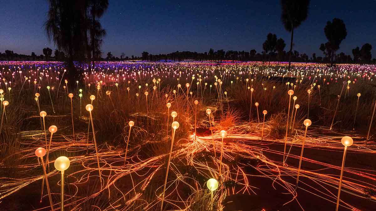 Field of Light. NT