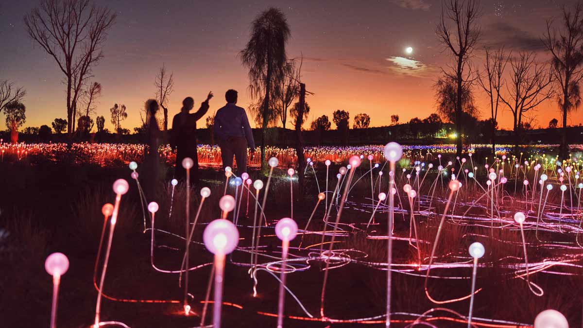 Field of Lights