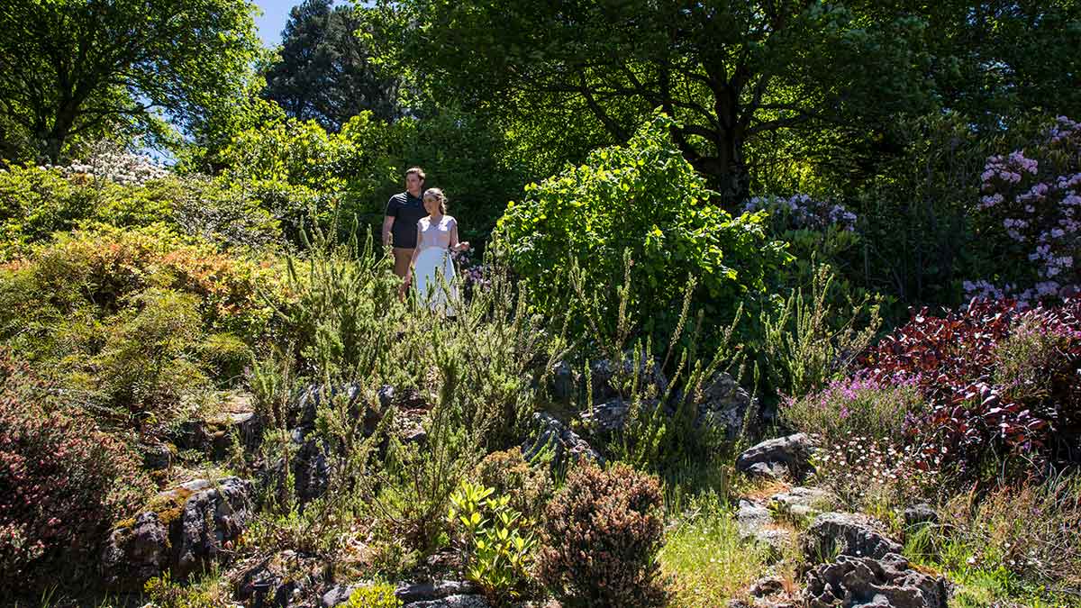 Couple walking through lush green garden