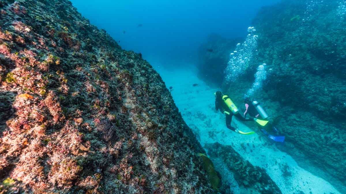  scuba diving at Julian Rocks in Byron Bay