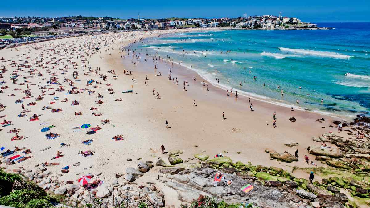 The waves at Sydney's iconic Bondi Beach can reach up to four metres high. Image: Getty