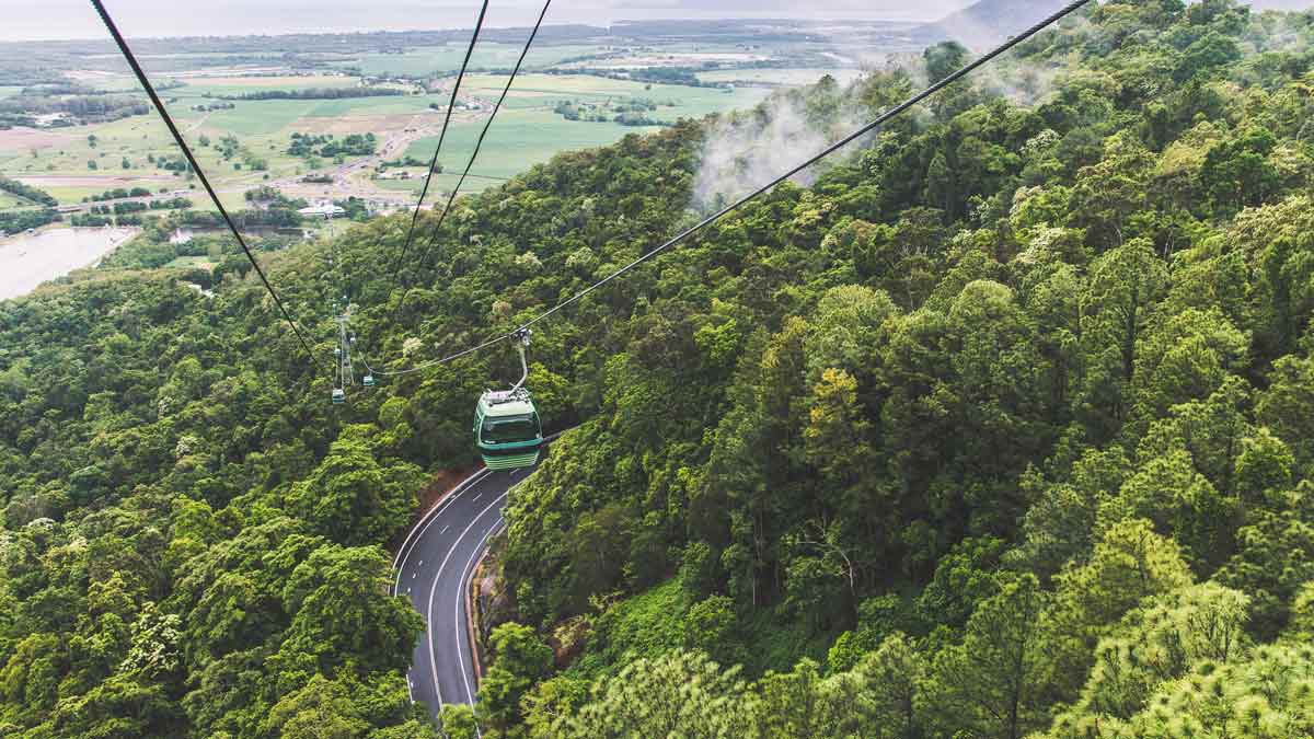 Kuranda Skyrail Rainforest