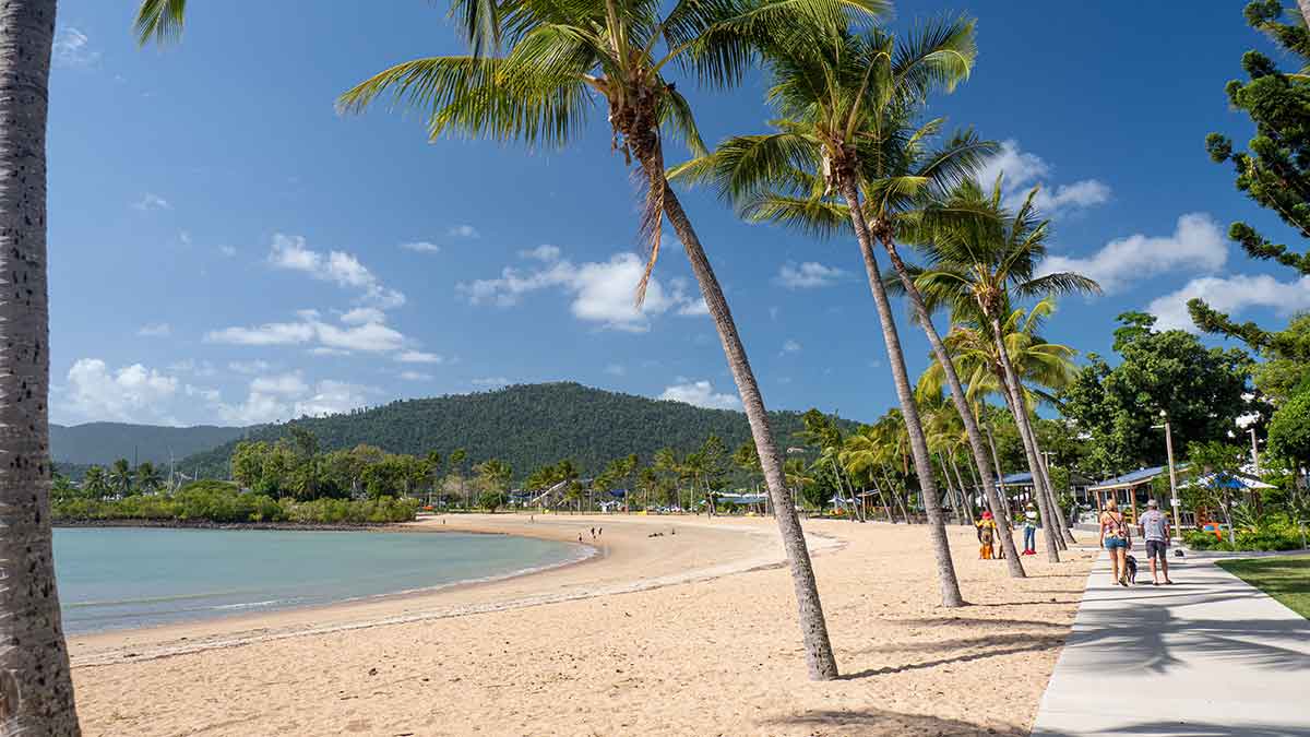 Palm trees by the beach