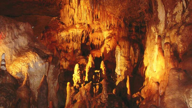 interior of Naracoorte Caves