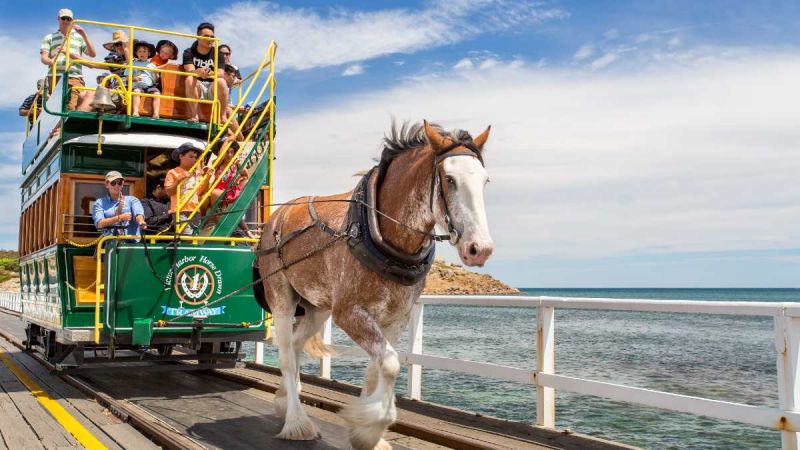 people riding horse-drawn tram at Victor Harbor