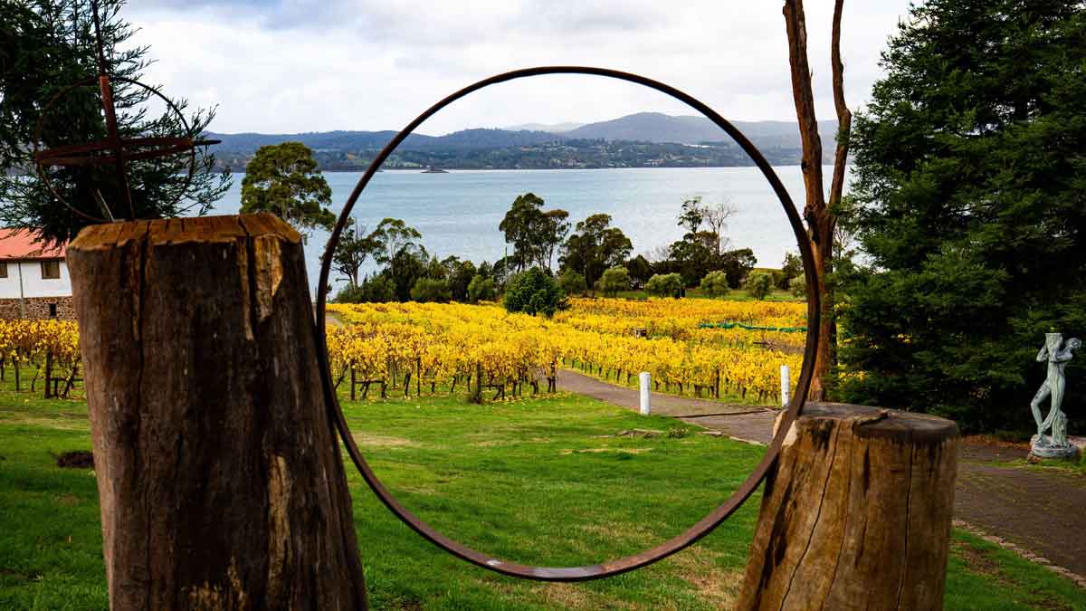 a winery in Tamar Valley.