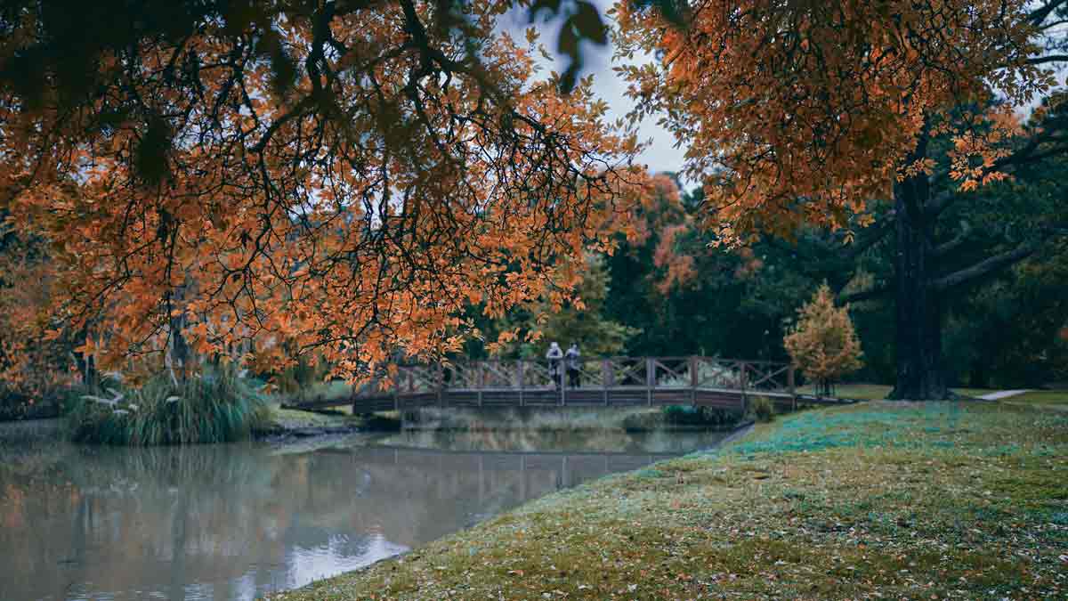 The Malmsbury Viaduct 