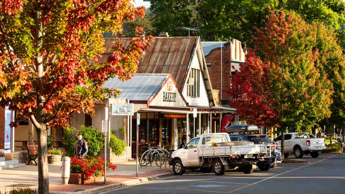 Bright town centre in autumn, with lots of red and gold trees