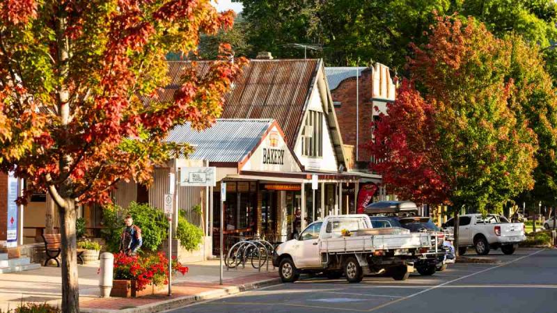 Austum trees and historic buildings in Bright