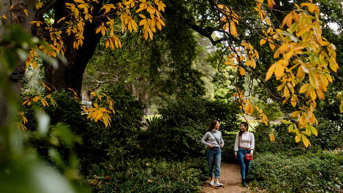 Melbourne's Royal Botanic Gardens