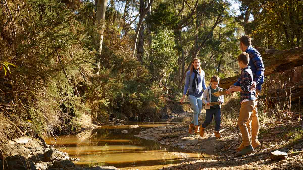 Family panning for gold