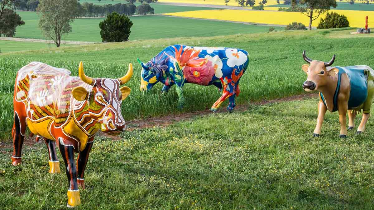 How many different cows can you find in Shepparton on the Mooving Art Trail? Image: Supplied