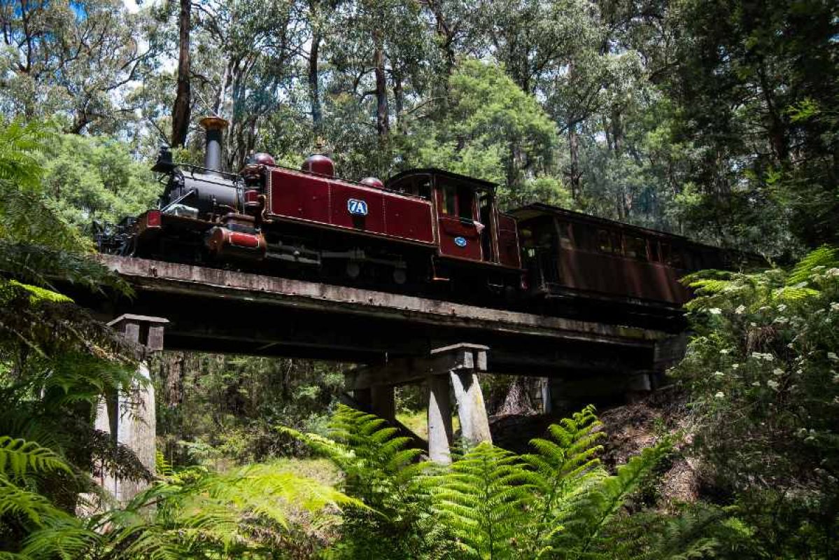 Puffing Billy train on trestle bridge