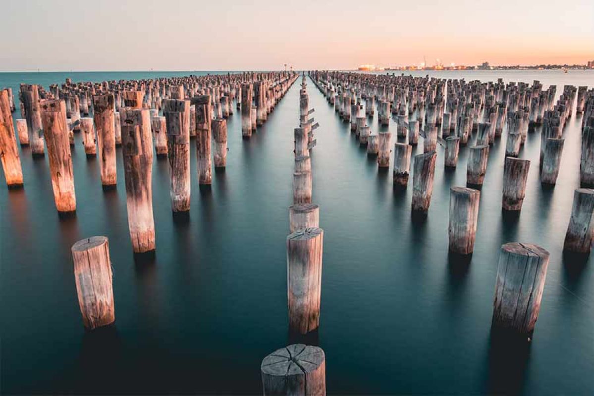 Timber footings protruding from ocean