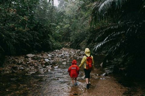 Children hiking in the rain