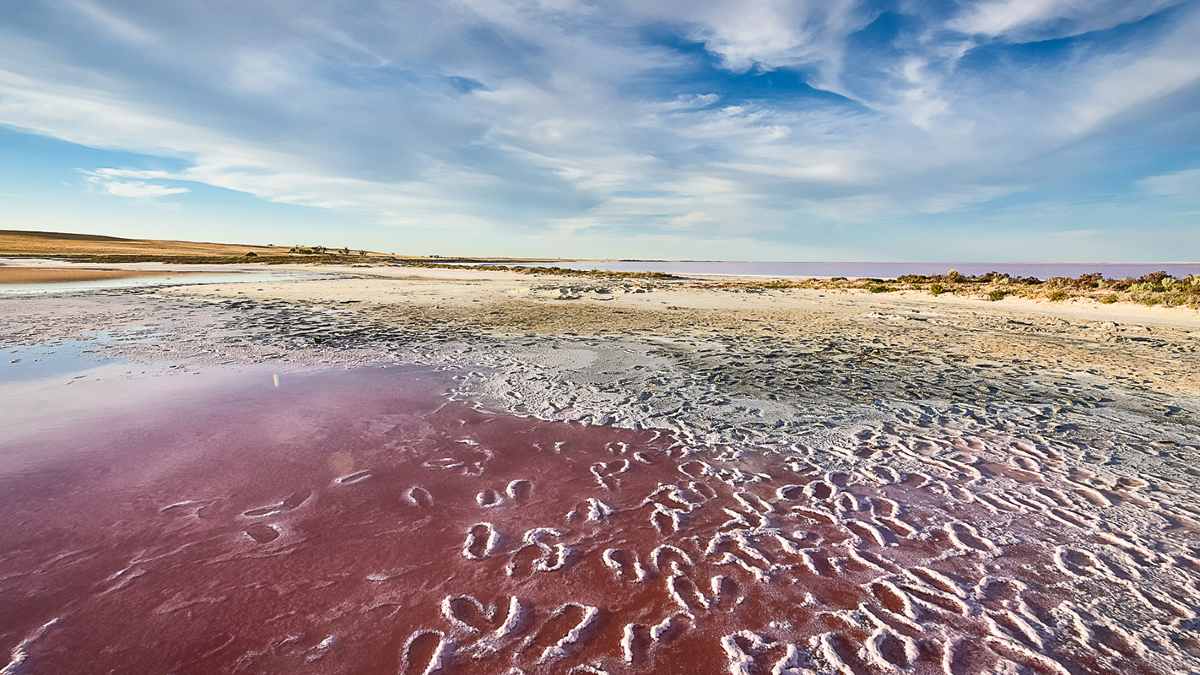 Footprints on Lake Tyrrell