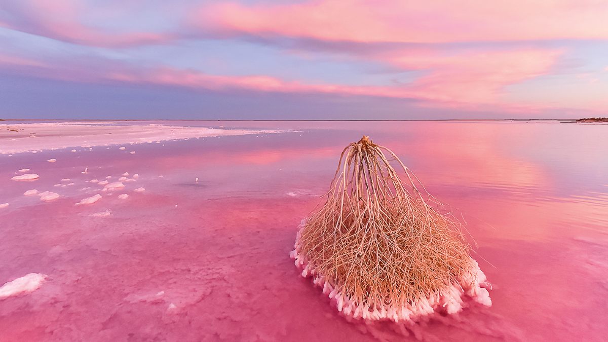 Pink Lake Tyrrell