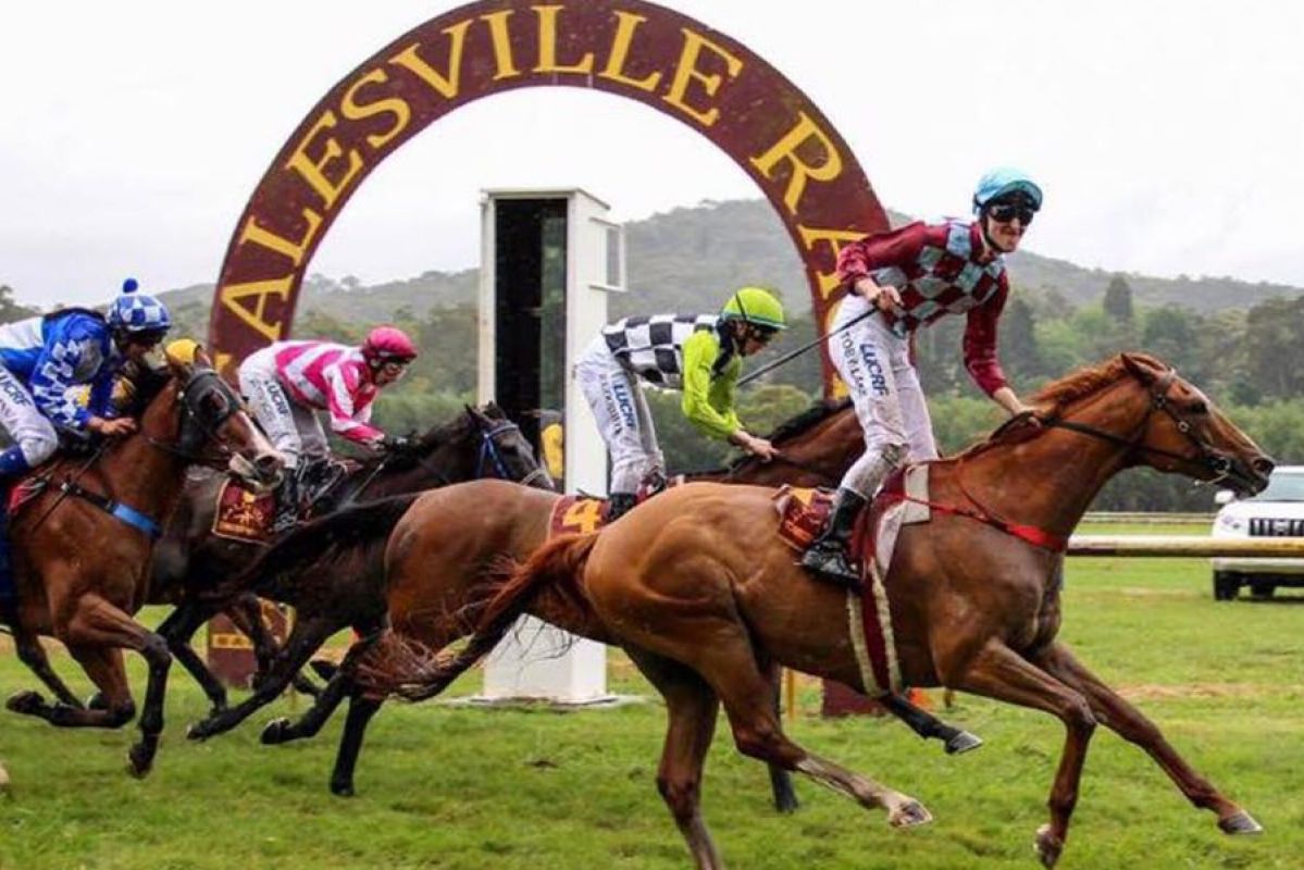 Horses crossing the finish line in race