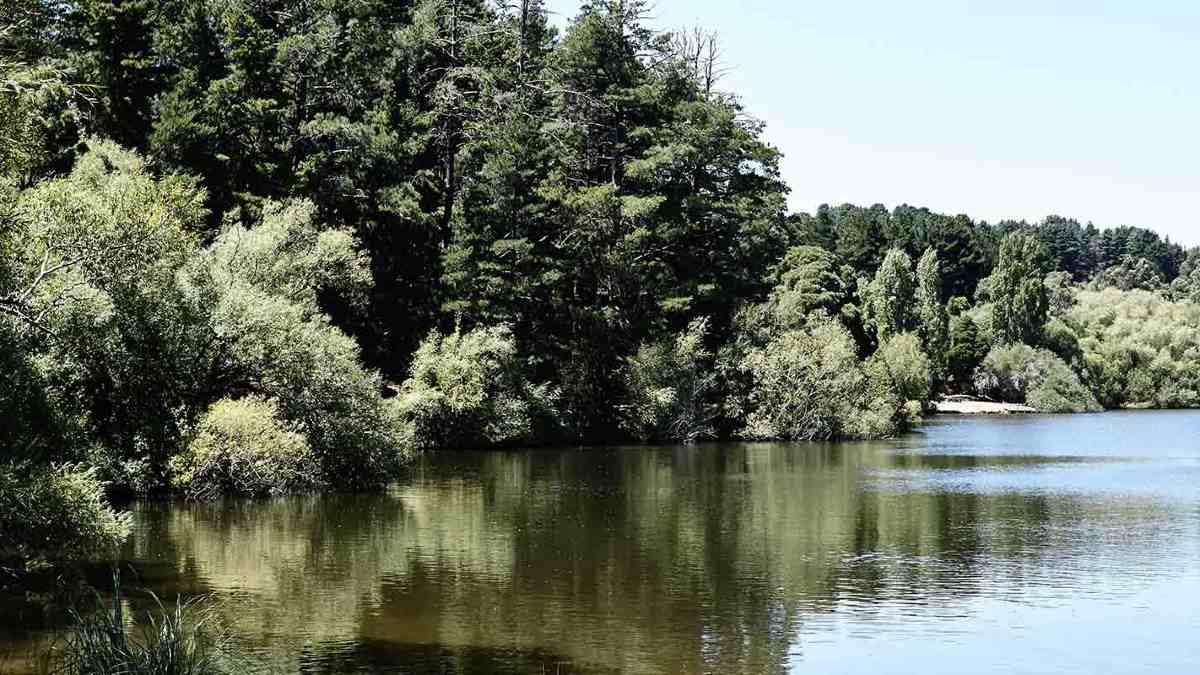 Lake Daylesford