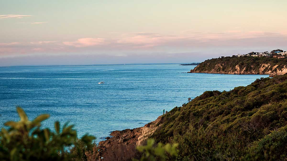 A blue SUV driving towards Wilsons Promontory with the ocean in the foreground