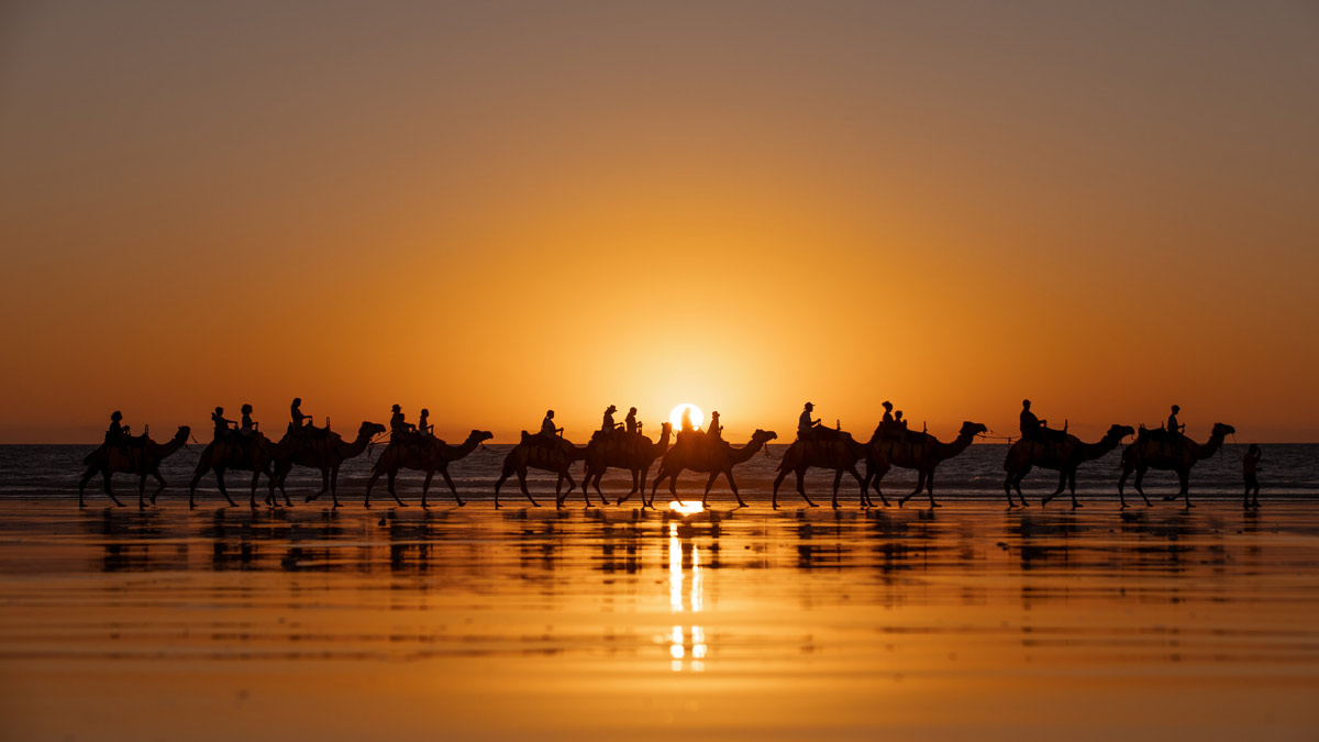 Sun setting over beach