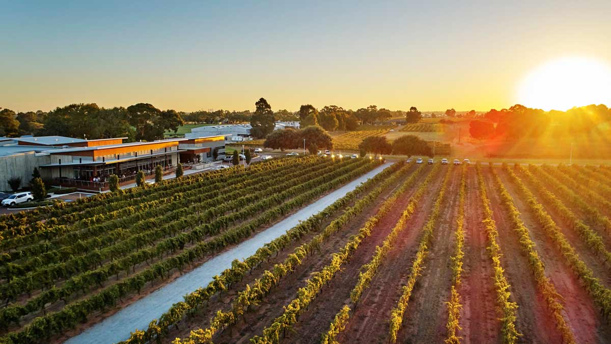 Winery bathed in sunshine