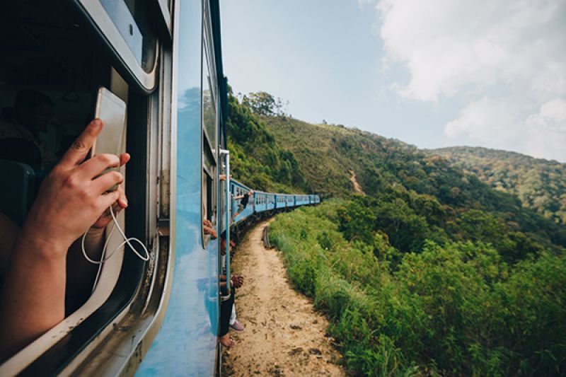 train travel in the wilderness