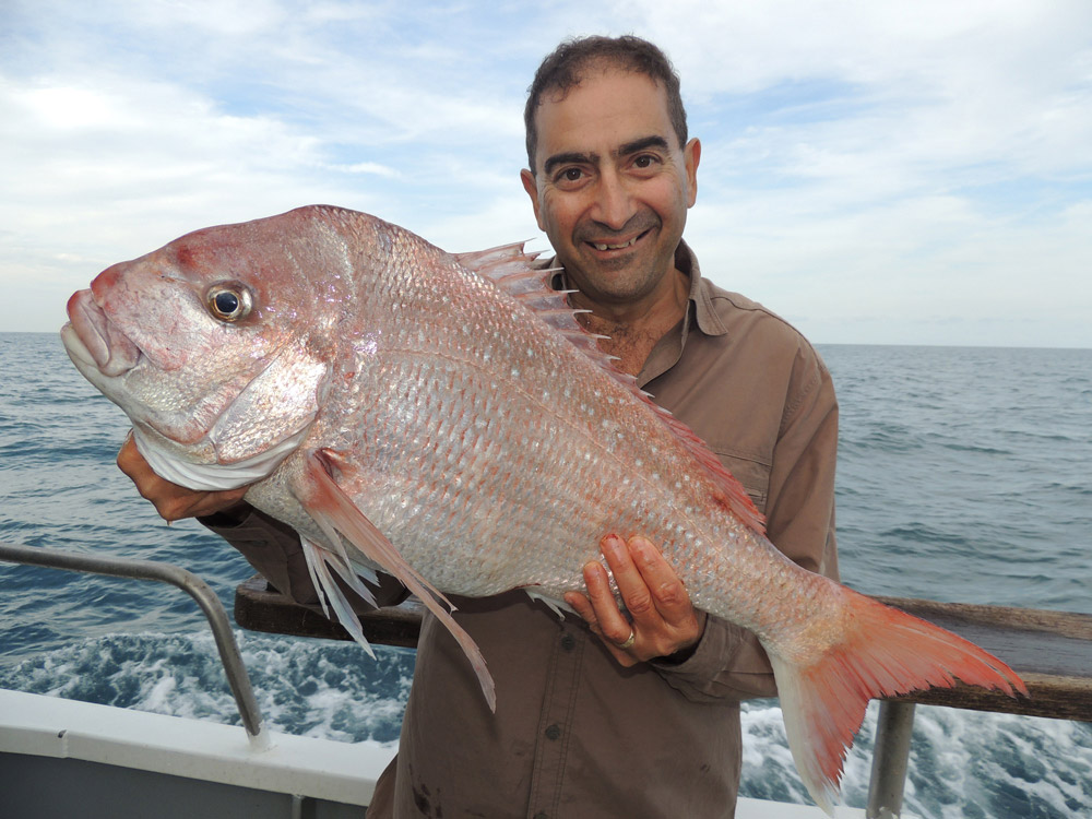 Snapper up: The fishing fever well worth catching