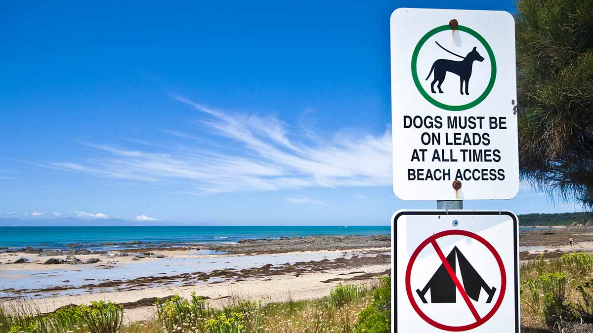 Dog access sign on beach