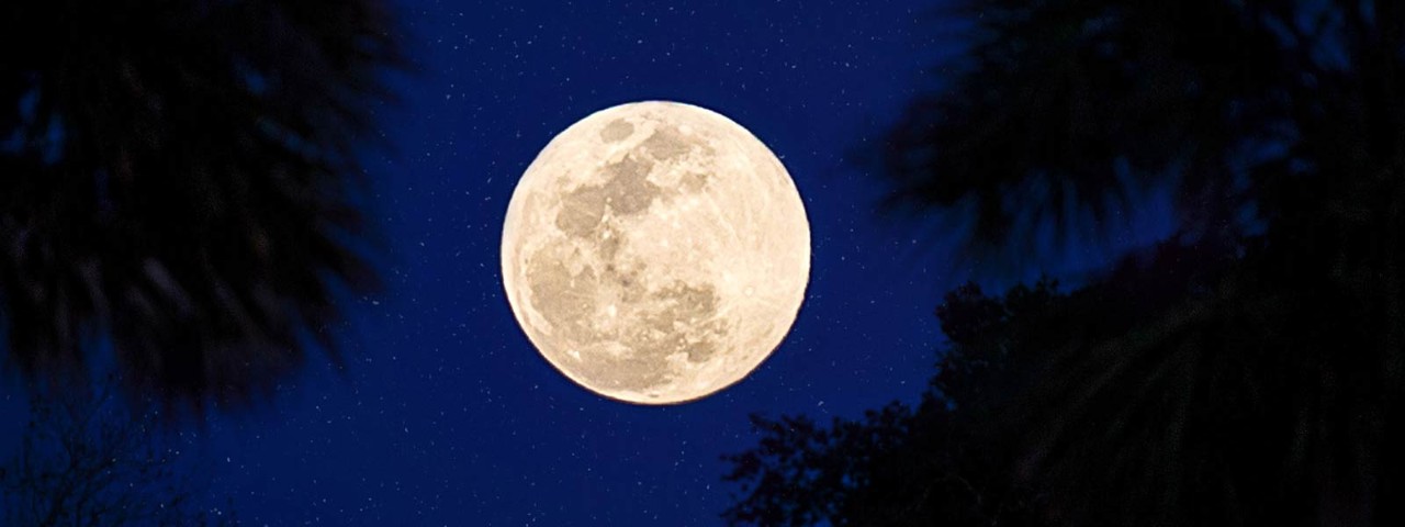 Full moon in dark night sky with stars.