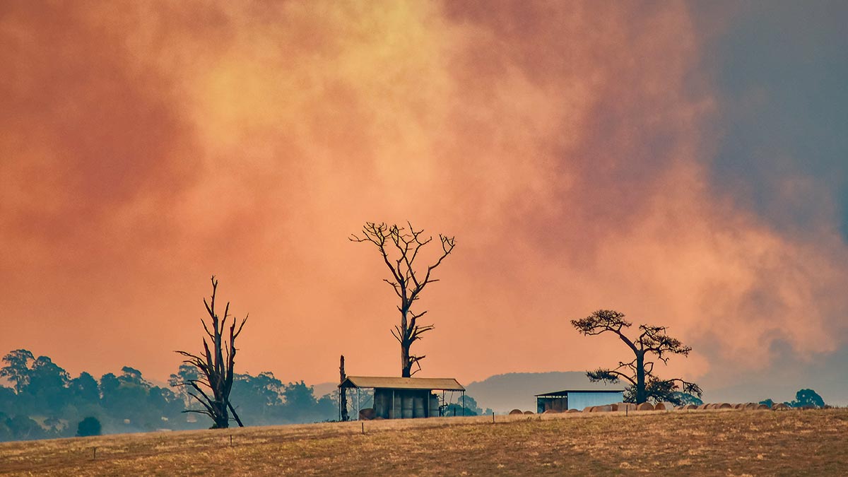 Bunyip bushfires