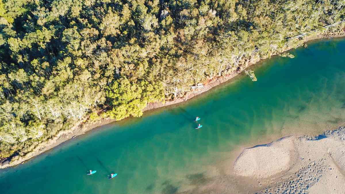 birds eye view of ocean with kayakers