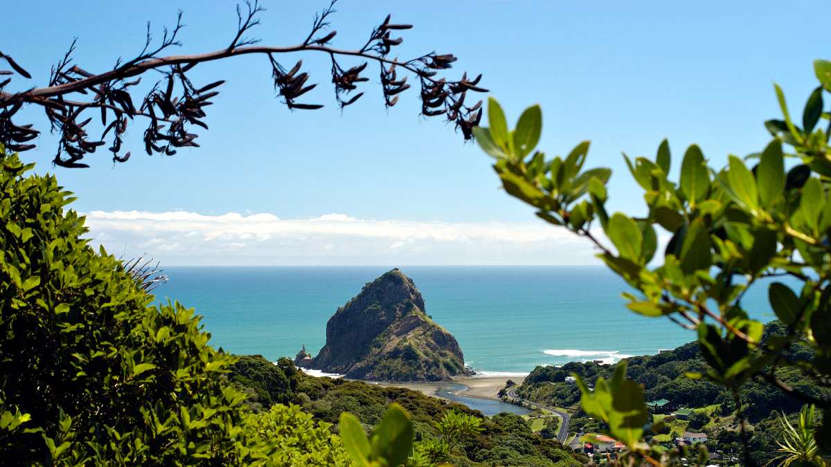 panoramic view of Piha Beach