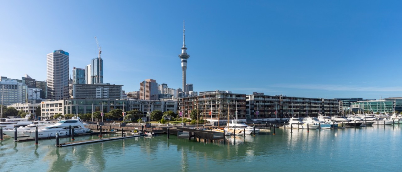 Auckland skyline from the harbour