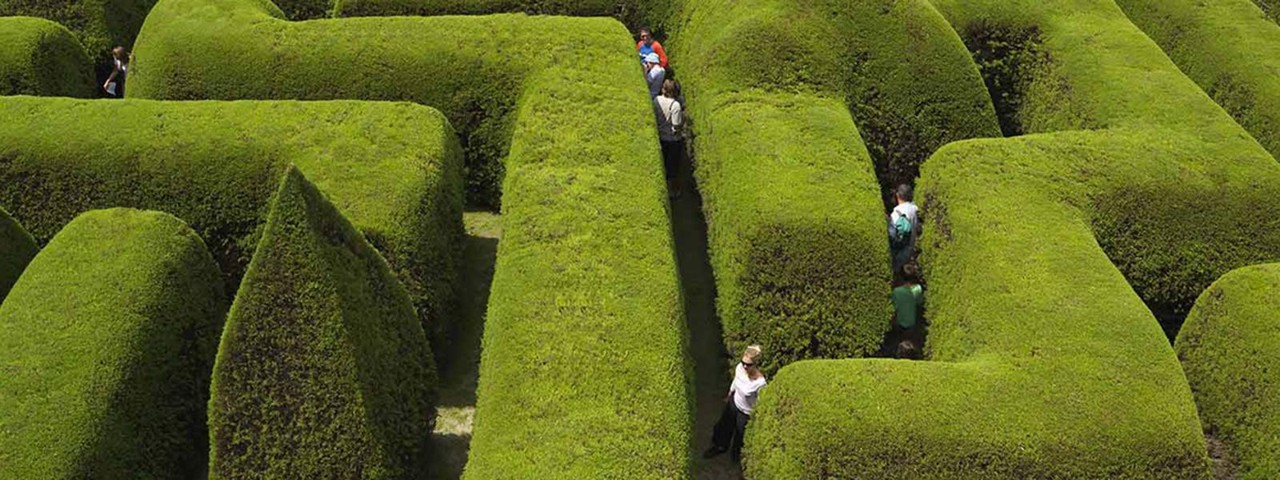 Hedges of Ashcombe Maze