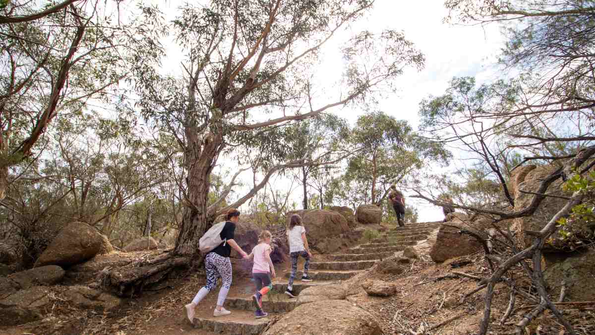family hiking in You Yangs
